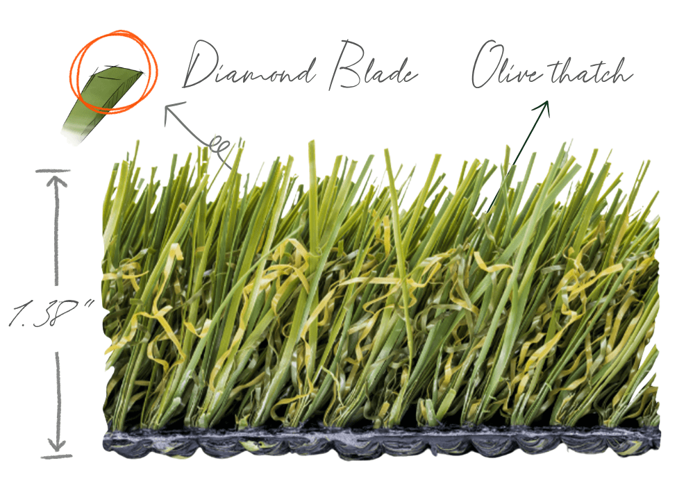 Kentucky Blue® Lite